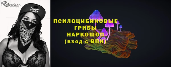 apvp Алексин