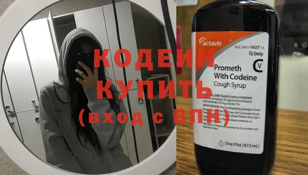 эйфоретик Алзамай