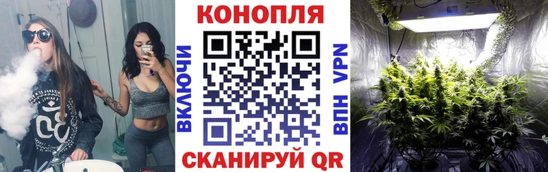 Каннабис White Widow  купить наркотик  hydra зеркало  Дегтярск 